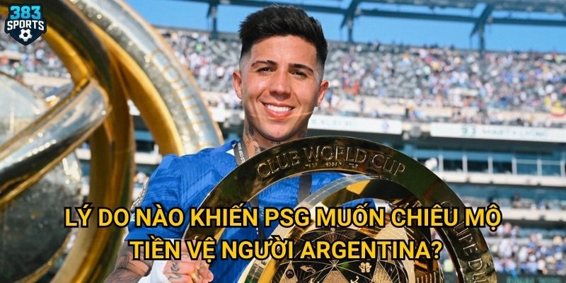 Chuyển nhượng Enzo Fernandez PSG Chelsea có thực sự khả thi như 383sports nhận định? 3 Lý do nào khiến PSG muốn chiêu mộ tiền vệ người Argentina?