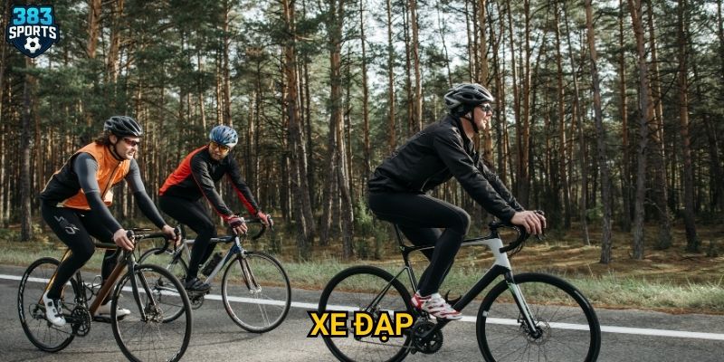 Xe đạp