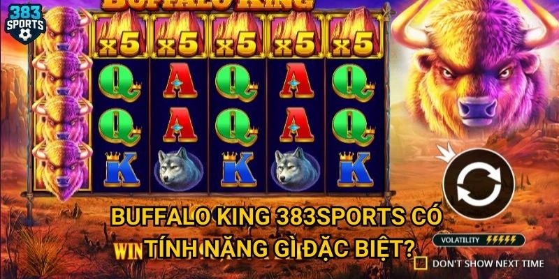 Vì sao Buffalo King tại 383sports được yêu thích nhất? 2 Buffalo King 383sports có tính năng gì đặc biệt?